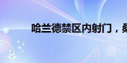 哈兰德禁区内射门，桑切斯神扑