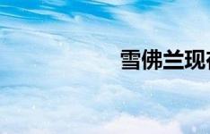 雪佛兰现在赞助曼联