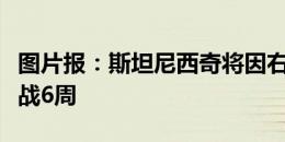 图片报：斯坦尼西奇将因右膝韧带撕裂至少休战6周