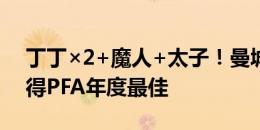 丁丁×2+魔人+太子！曼城球员近5年4次获得PFA年度最佳