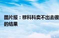 图片报：穆科科卖不出去很可能留多特 这是双方都不愿看到的结果