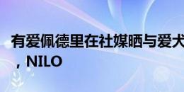 有爱佩德里在社媒晒与爱犬合照：与你在一起，NILO