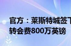 官方：莱斯特城签下水晶宫前锋乔丹-阿尤，转会费800万英镑