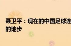 聂卫平：现在的中国足球连越南泰国都输，堕落到没法想象的地步