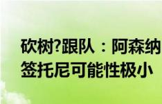 砍树?跟队：阿森纳目前不会买传统九号位，签托尼可能性极小