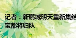 记者：新鹏城明天重新集结，伤员埃杜、胡睿宝都将归队