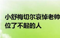 小舒梅切尔哀悼老帅埃里克森：我们失去了一位了不起的人