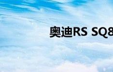 奥迪RS SQ8显示在洛杉矶