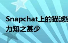 Snapchat上的猫滤镜显示 我们对猫的认知能力知之甚少