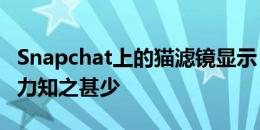 Snapchat上的猫滤镜显示 我们对猫的认知能力知之甚少