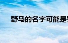 野马的名字可能是整个汽车家族的支柱