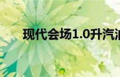 现代会场1.0升汽油手动性能数据显示