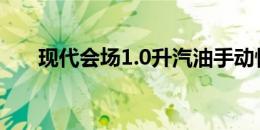 现代会场1.0升汽油手动性能数据显示