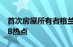 首次房屋所有者格兰特数据显示 条纹作为FHB热点