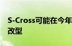 S-Cross可能在今年晚些时候获得BS-VI汽油改型