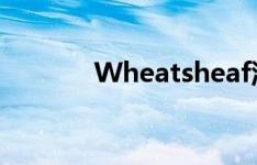 Wheatsheaf泥砖的惊人转变