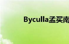 Byculla孟买南部的新地产热点