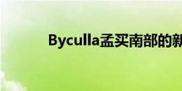 Byculla孟买南部的新地产热点