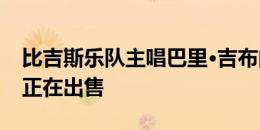 比吉斯乐队主唱巴里·吉布的前温莎宅邸现在正在出售