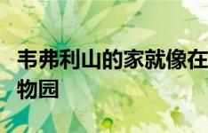 韦弗利山的家就像在自己的后院里拥有一个植物园