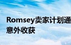 Romsey卖家计划通过细分来最大程度地增加意外收获