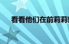 看看他们在前莉莉戴尔采石场建了什么