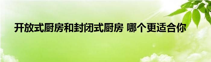 开放式厨房和封闭式厨房 哪个更适合你