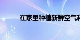 在家里种植新鲜空气和室内植物