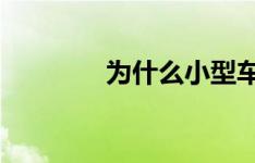 为什么小型车的油耗不低呢